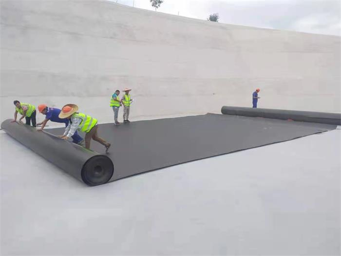 1641955629393304.png image.png